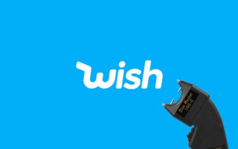 移动购物平台Wish获最新一轮融资 估值112亿美元