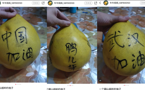 武汉一线抗疫护士：鸭儿坪村的柚子让我感受到山海外的爱心
