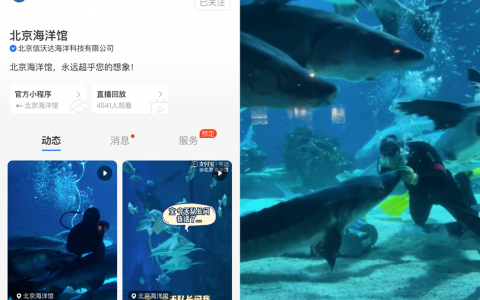 北京海洋馆支付宝生活号再上新，各种鱼类“日记”受欢迎