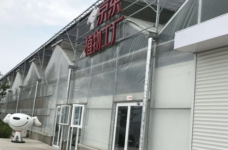 探营京东植物工厂自建水培蔬菜基地产量超常规34倍